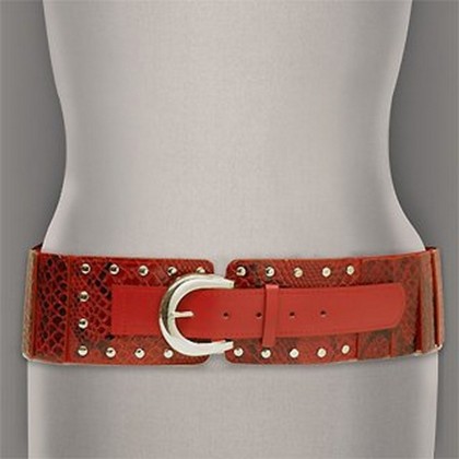 Belt - 12 PCS Elastic Belt - 12 PCS w/ Glossy Snake Embossed - Red - Size : ML - BLT-BE136RD-ML