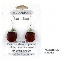12-pair Semi Precious Stone Earrings - Carnelian - " HAPPINESS " - ER-WE0001SS-CAN