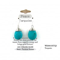 12-pair Semi Precious Stone Earrings - Turquoise - "PEACE " - ER-WE0001SS-TQS