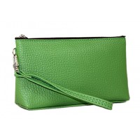 Cosmetic Bags - 12 PCS w/ Wristlet - Green -BG-HD1445GR