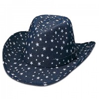 Cowboy Hats – 12 PCS Star Print Denim - HT-8908