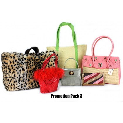 Discount Package: 6 Pieces Assorted Bags ( Only 1 pack Left ) - PROMO291