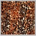 12 PCS Tunics Tops with 3/4 Sleeves, Leopard Print - Brown - ATP-TT8706